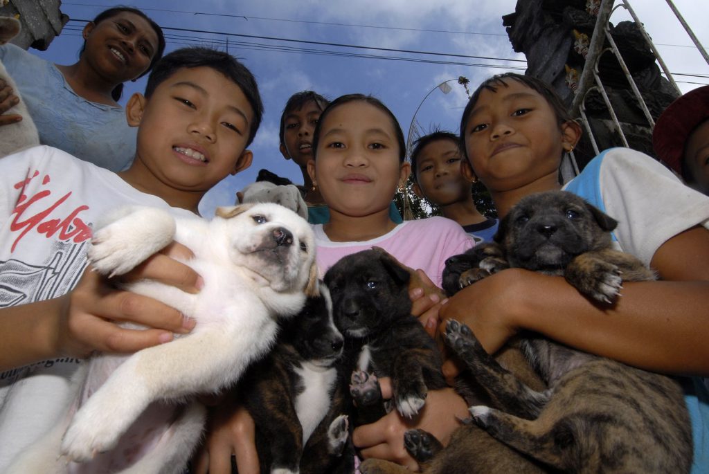 Children bring their puppies to the free clinic.